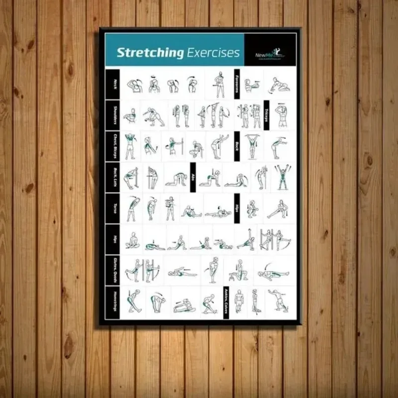 Körpertraining, Diagramm, Fitn – Badminton Poster Bewertung und Preis
