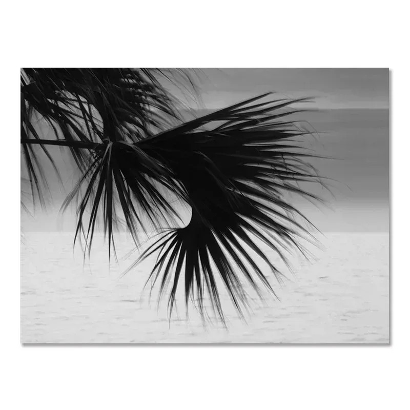 (1 Stück rahmenlos) Strand-Cam – Badminton Poster Bewertung und Preis